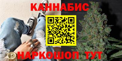 Альфа ПВП Бийск