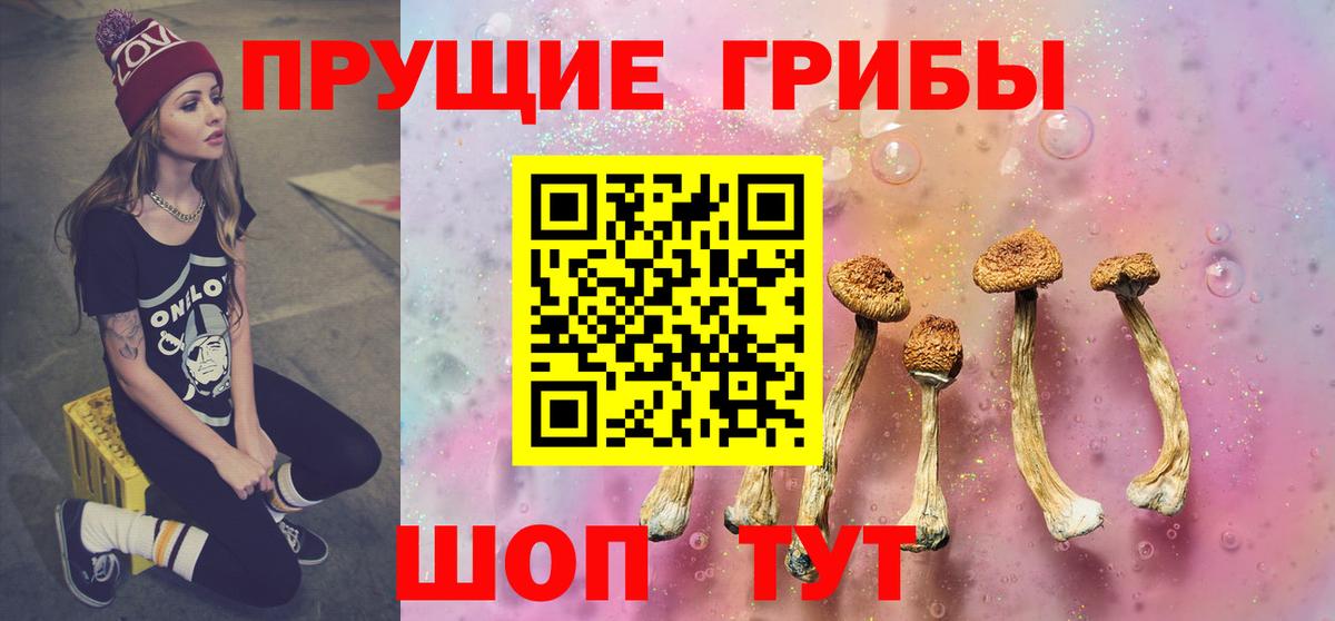 как найти наркотики  Галлюциногенные грибы Magic Shrooms  Вход с VPN  Ижевск  Галлюциногенные грибы Magic Shrooms 