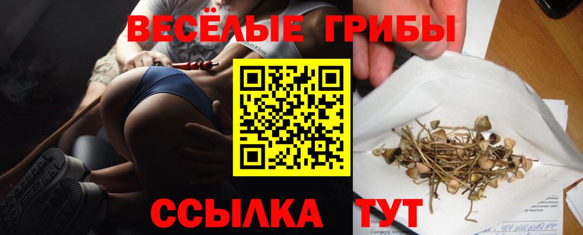 Галлюциногенные грибы Psilocybine cubensis Ижевск